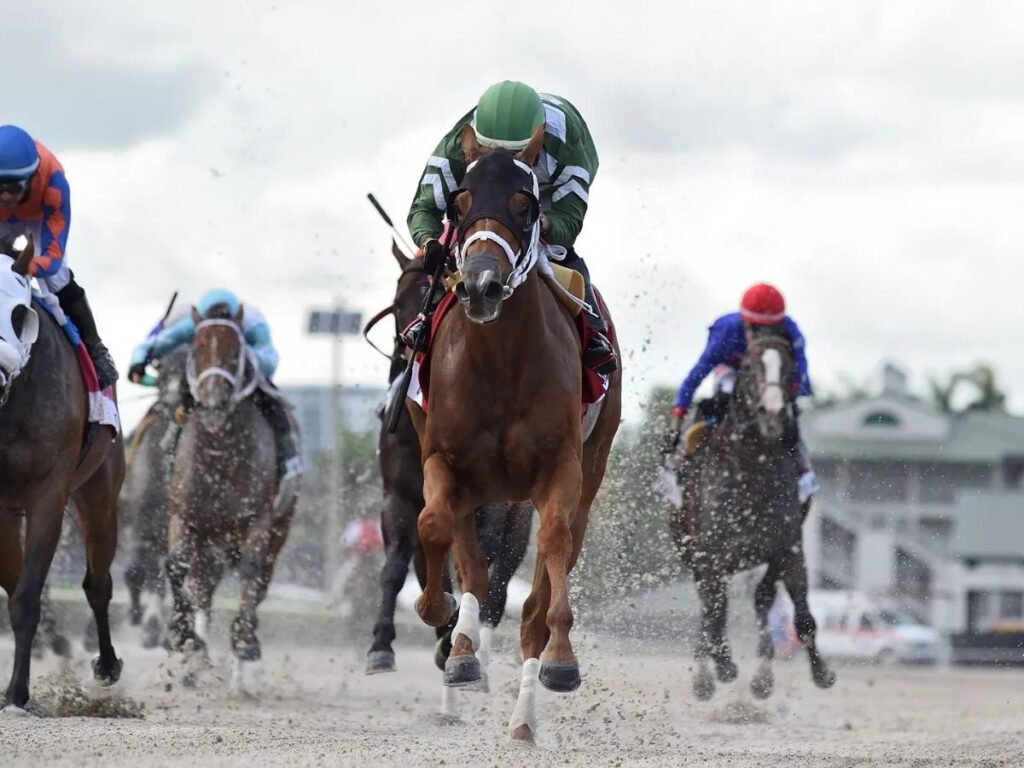 Ferocious por boleto a Copa de Criadores