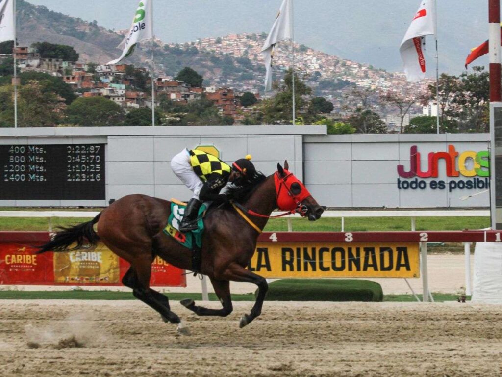 Ping Pong respondió en el Clásico Aly Khan