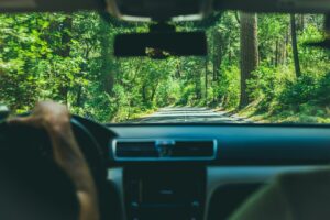 qué autos pueden circular y cuáles descansan el 2 de noviembre