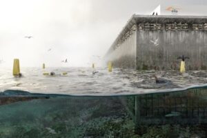 3,5 GW de capacidad eólica entre gaviotas apareándose