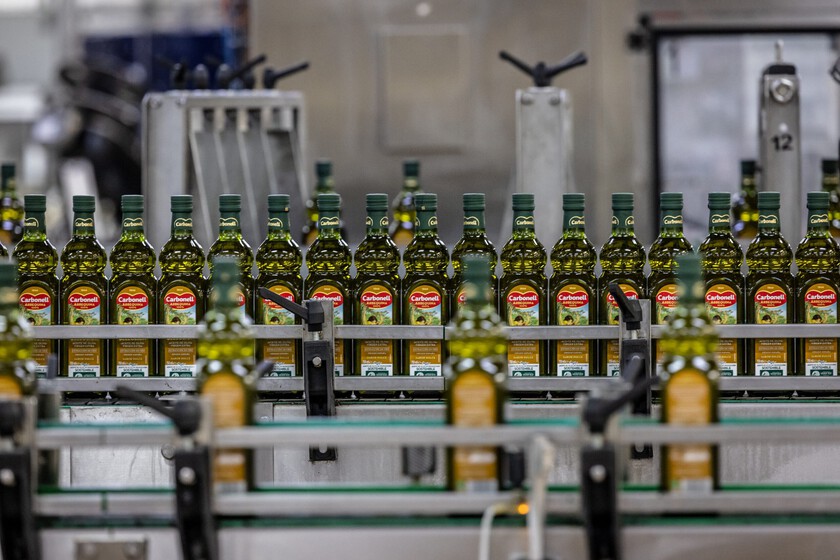 El precio del aceite de oliva ha entrado en caída libre. El único problema es que aún no en los supermercados