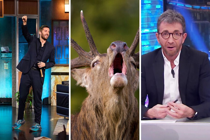 Harto de que 'El Hormiguero' le robe invitados, Broncano emitió ayer 12 minutos de animales. Y casi le igualó en audiencia