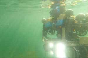 Un proyecto de Reino Unido ha encontrado la forma más sencilla para mantener los parques eólicos offshore: IA y robots submarinos