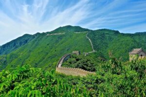 un "muro" de 4.500 kilómetros de árboles