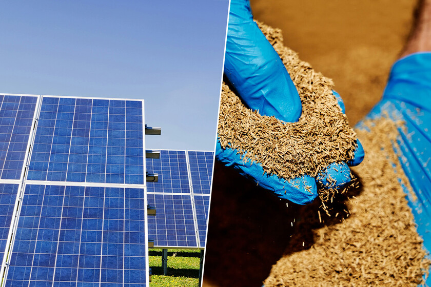 una investigación española ha descubierto cómo los residuos de poda pueden transformar la energía solar