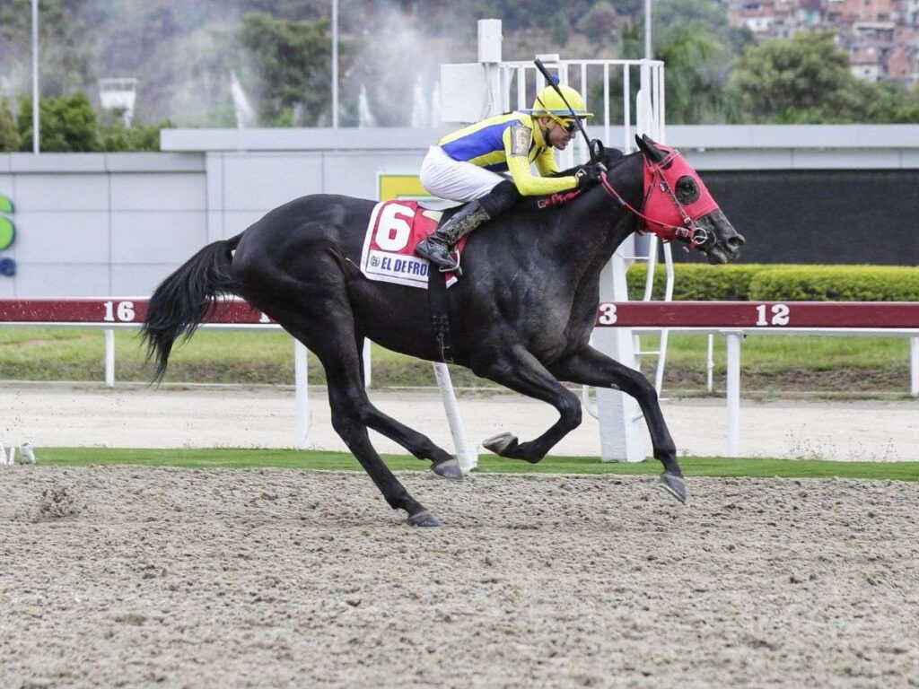 Haras interesados en adquirir los servicios de El De Froix