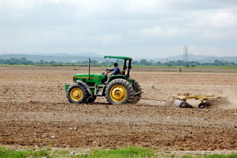 Inversionistas están volviendo a ver a los sectores agrícola y pecuario de Venezuela