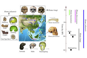 acabamos de toparnos con un nuevo grupo de humanos primitivos