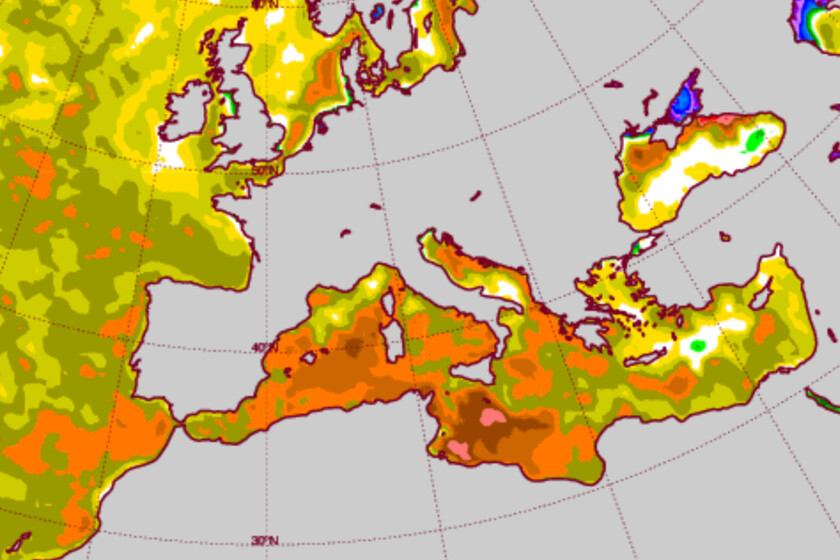 Mientras esperamos a la llegada del frío, el mar Mediterráneo sigue anómalamente cálido. Eso es un problema