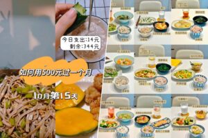 vivir con menos de 70 dólares al mes para alimentos