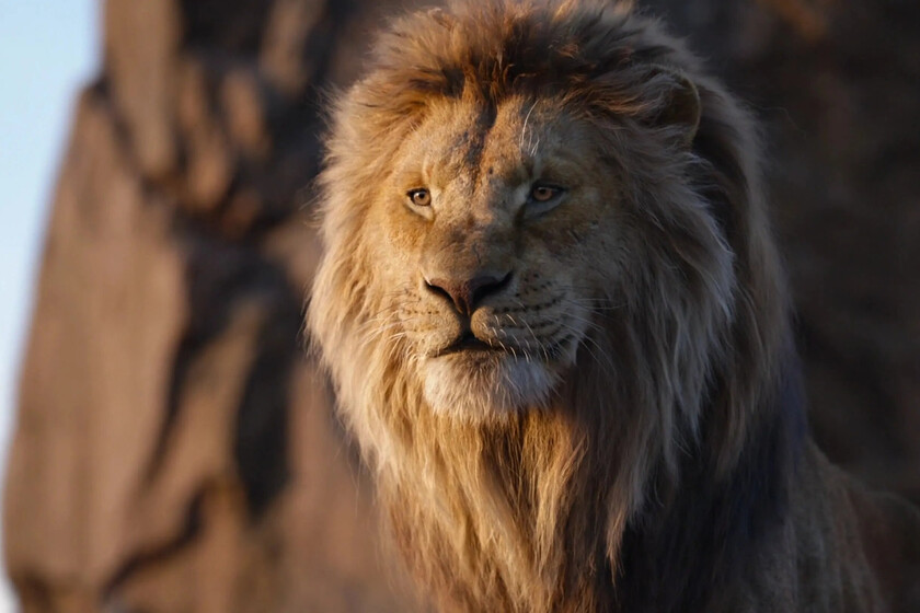 Ya tenemos las primeras críticas de 'Mufasa, el rey león', y son eminentemente positivas. "Una historia que debía ser contada"