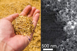 Estados Unidos necesitaba una alternativa al grafito para evitar a China. Ha encontrado algo mejor: la cáscara de arroz