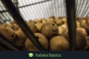 qué puedes hacer con inteligencia artificial y cómo pedir una predicción