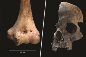 la matanza más violenta y extrema de la prehistoria sucedió hace 4.000 años