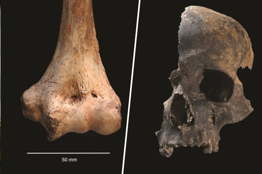 la matanza más violenta y extrema de la prehistoria sucedió hace 4.000 años