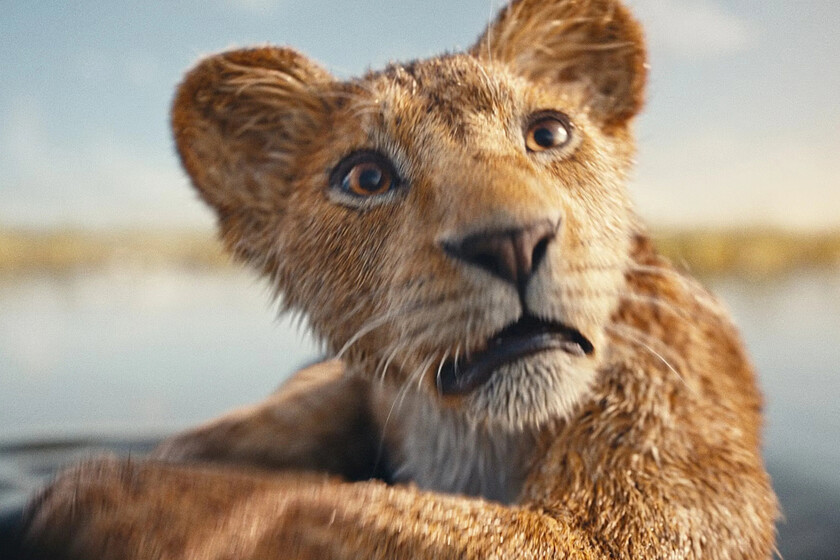 Después del estreno de 'Mufasa', creo que Disney tiene que dejar de hacer contenido y volver a centrarse en crear historias inolvidables