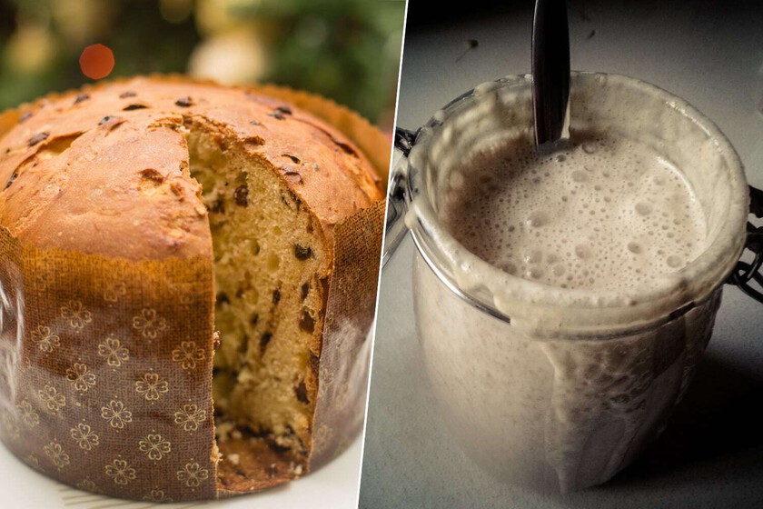 La masa madre ya ha conquistado el pan. Ahora es el reclamo de los panettone artesanales