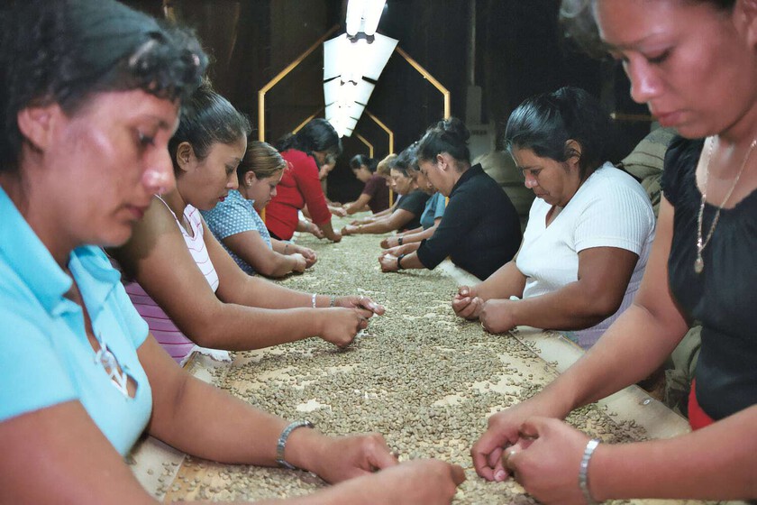 no será un buen 2025 para el café mañanero