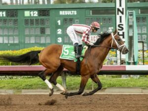 Journalism rumbo al Kentucky - Líder en deportes