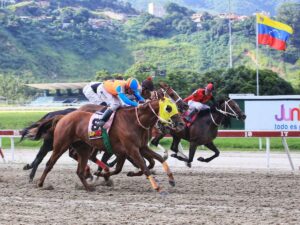 El Haras Tamanaco domina en los clásicos