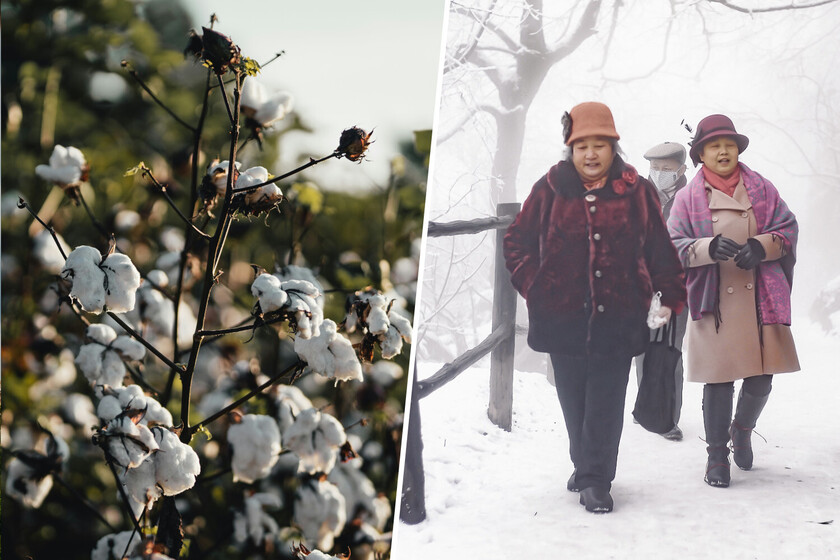 Un pueblo de China se llenó de turistas a los que prometió nieve. Cuando llegaron se encontraron otra cosa: algodón