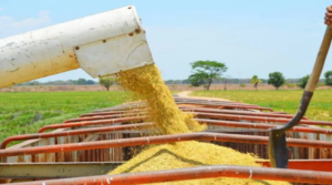 inversión de US$ 1.500 millones en agricultura generaría 85% de soberanía alimentaria en cinco años