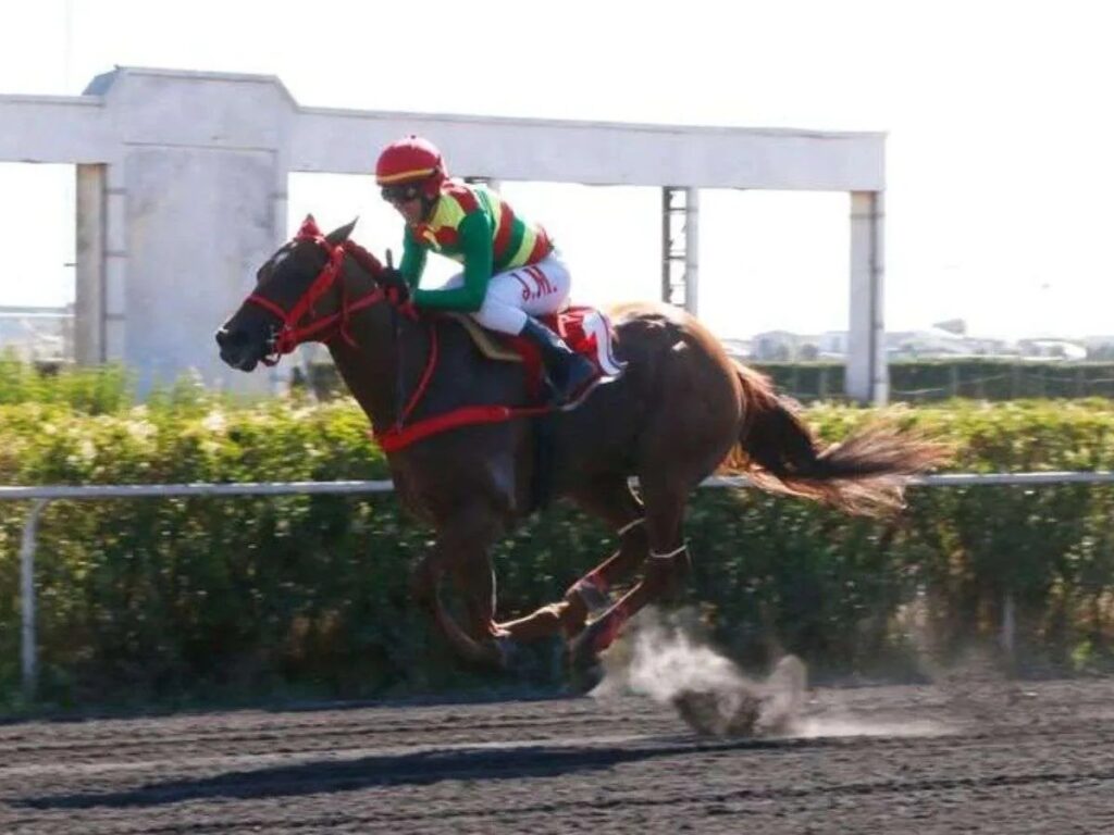 Niño del Sur se consagró 2º cuádruple coronado en Chile