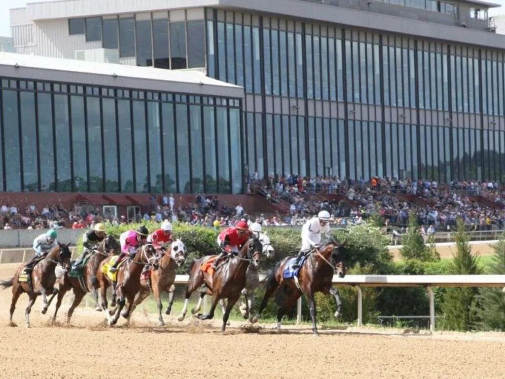El Rebel Stakes da cupo directo al Kentucky