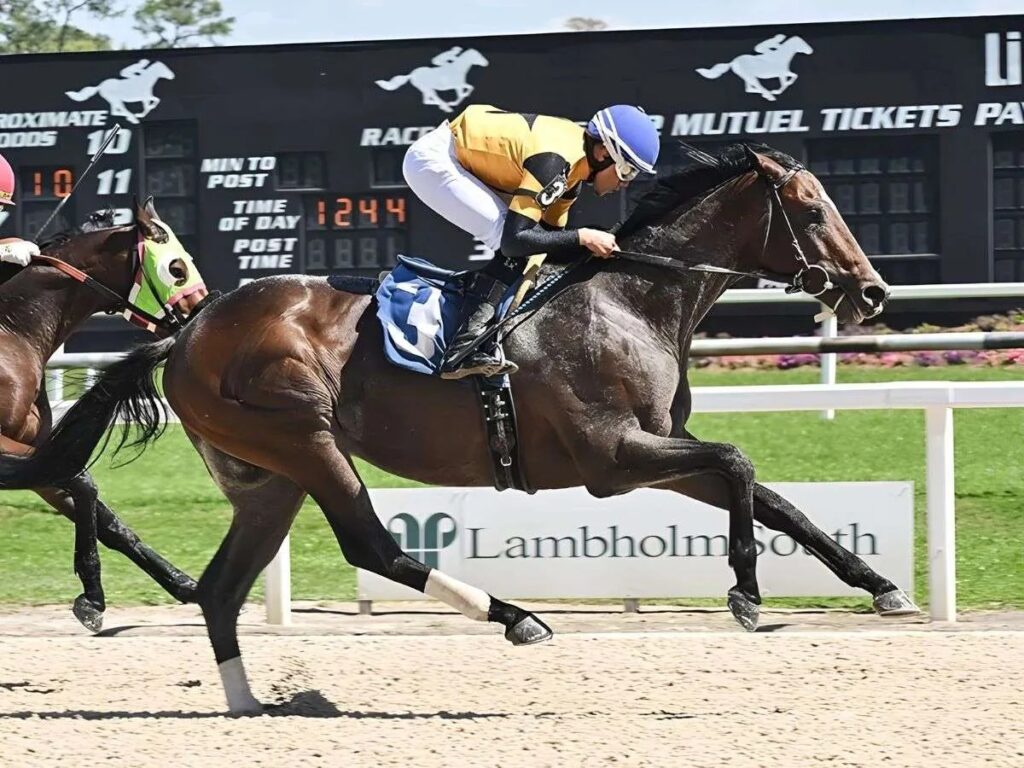 Venezolanos destacaron en Tampa Bay Downs