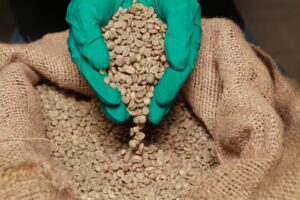 precio del quintal de café debería estar entre 320 y 340 dólares