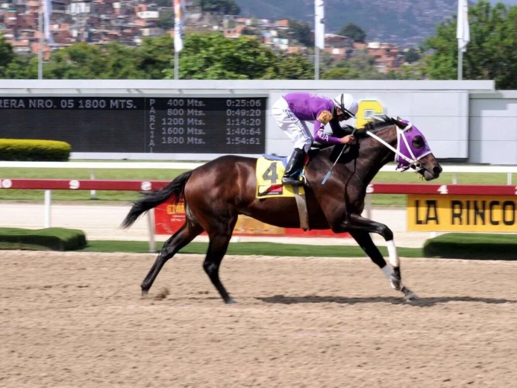 Sedes del Clásico del Caribe tendrán calendario rotatorio