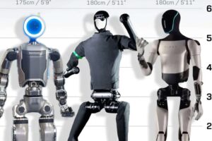 Tenemos ya tantos robots "humanoides" que cuesta diferenciar a los unos de los tros. Este gráfico lo arregla