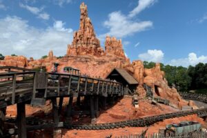 En 2016, un urólogo descubrió que una atracción de Disneyland ayudaba a expulsar cálculos renales. La historia era un poco más complicada