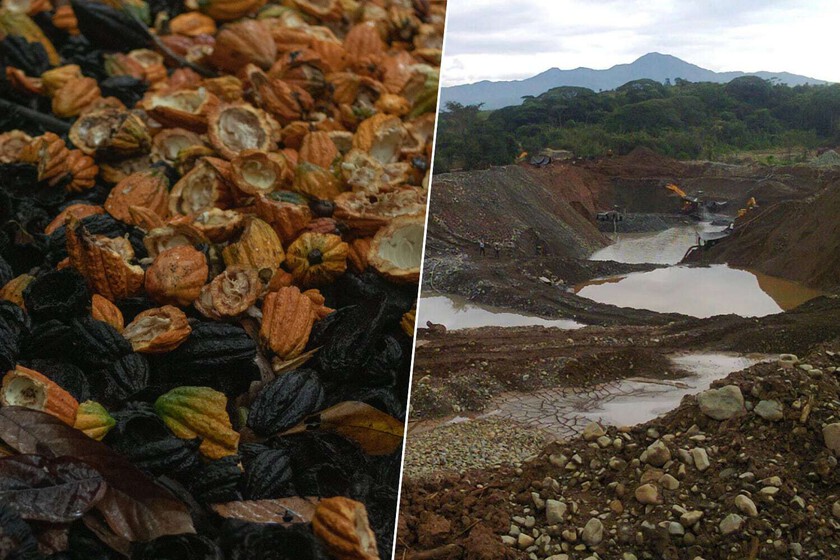 la minería ilegal de oro
