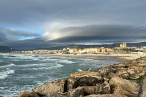 Tarifa tiene más de 40.000 toneladas de algas y no sabe qué hacer con ellas. Así que va a intentar monetizarlas