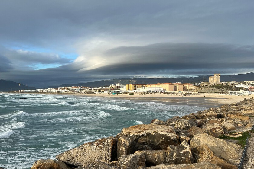 Tarifa tiene más de 40.000 toneladas de algas y no sabe qué hacer con ellas. Así que va a intentar monetizarlas