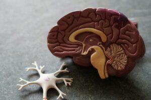 Tenemos muchos estereotipos sobre la personalidad de las personas inteligentes. Y tienen poca validez según la ciencia