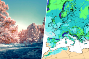 la nieve está de vuelta