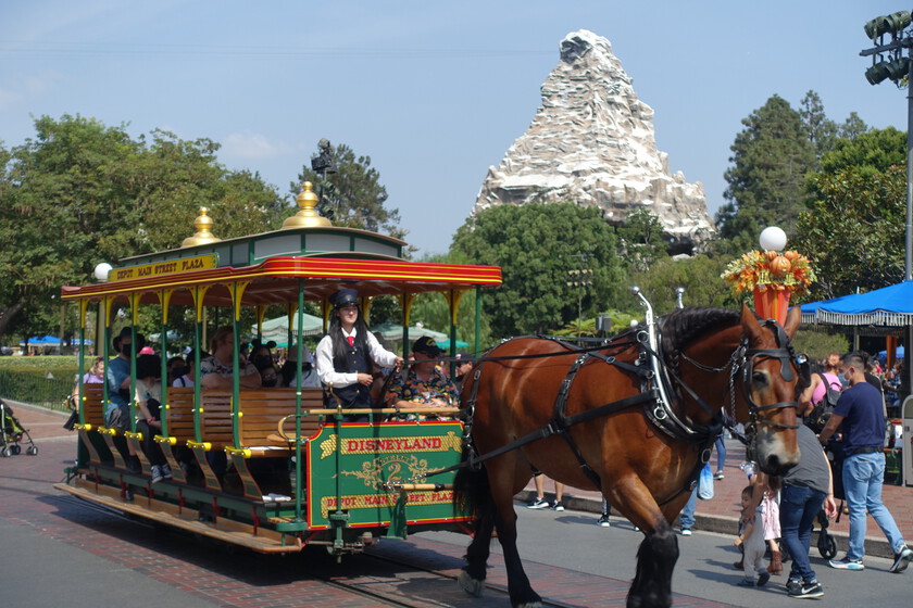 El matrimonio que vivió más de 15 años en Disneyland y es responsable de que los caballos fueran el animal favorito de Walt Disney