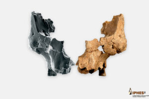 Llevamos años estudiando los restos más antiguos de un humano en Atapuerca. Y seguimos sin saber a qué especie perteneció