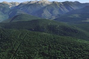 La frontera terrestre más larga del mundo hecha por el ser humano es un gigantesco cortafuegos entre EEUU y Canadá