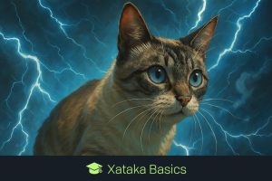 Siete consejos para aprovechar el editor de fotos de ChatGPT
