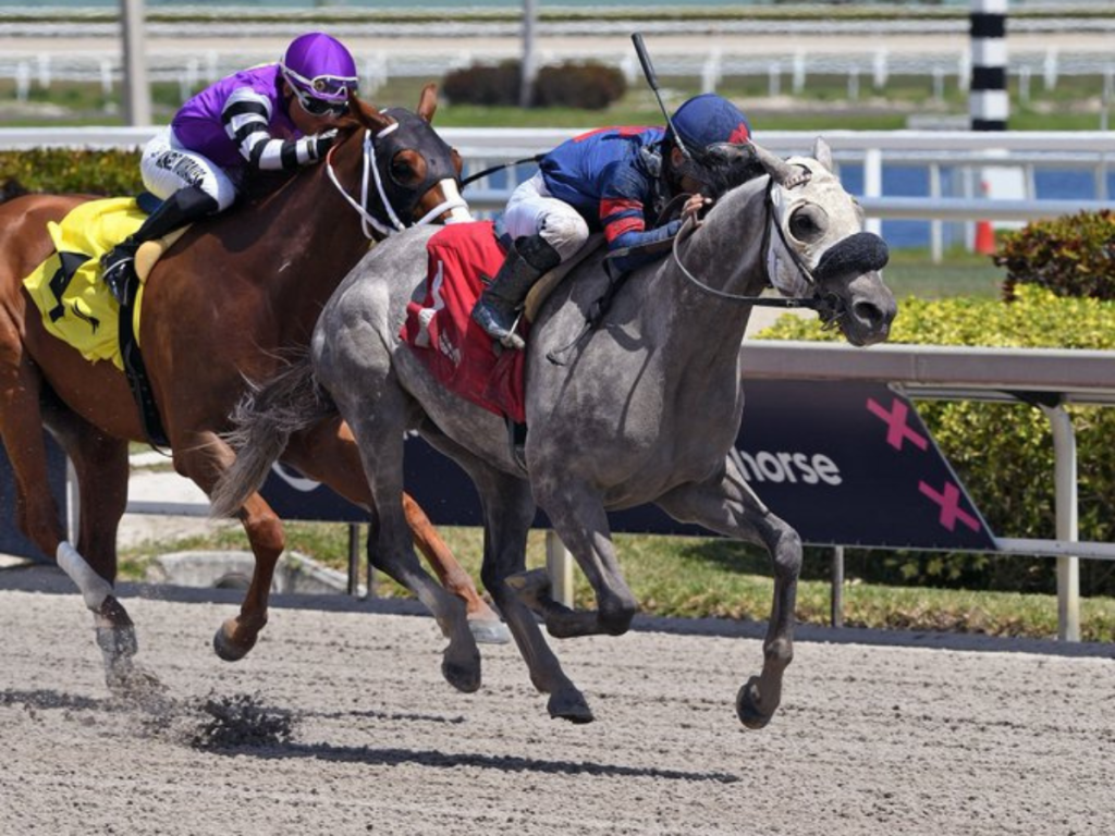 Hoy se disputa el Florida Derby