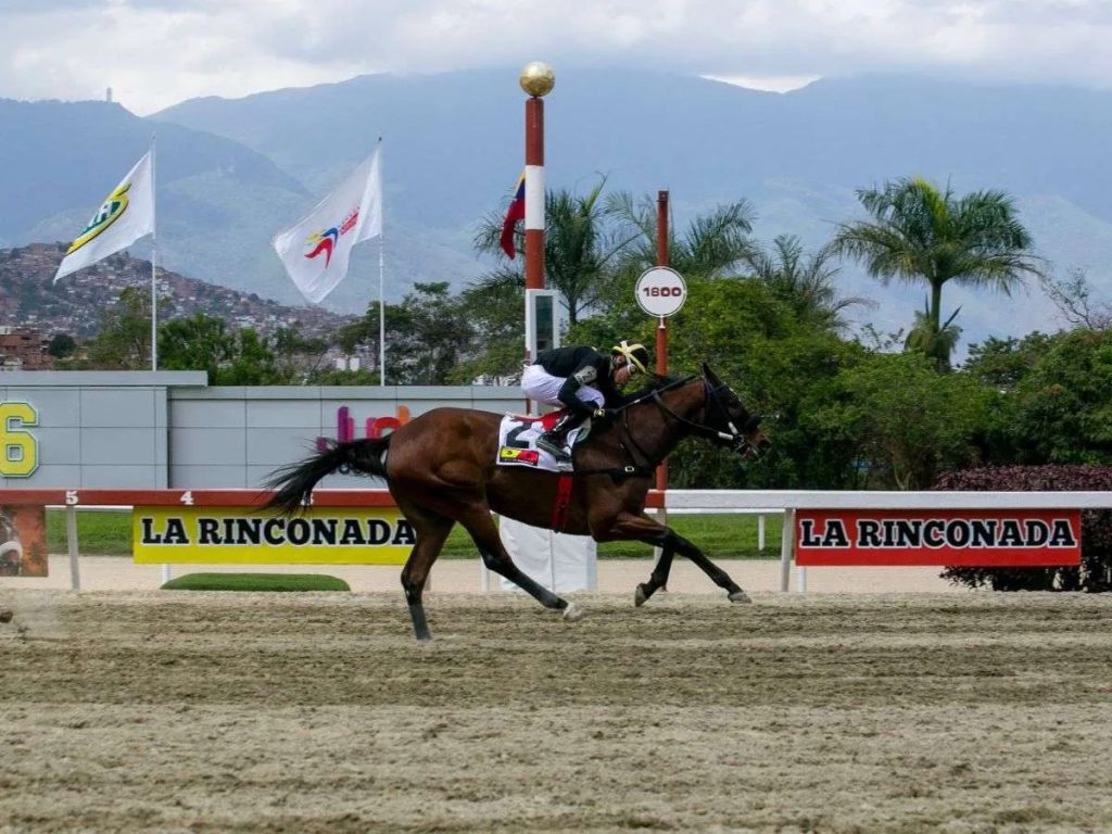 La importada Colder Weather ganó solvente con Puello Jr.