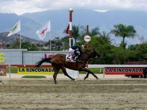 La importada Colder Weather ganó solvente con Puello Jr.