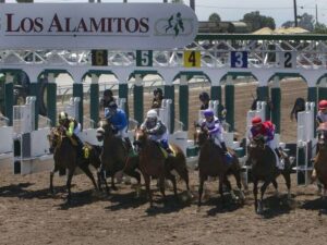 Suspendido veterinario por tres años en Los Alamitos