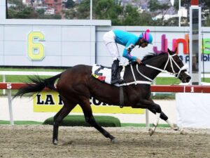 Princesa Fina se quedó con el Ana María Freudman