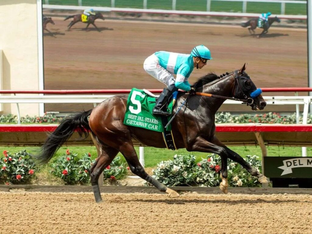Getaway Car es el favorito en el Virginia Derby