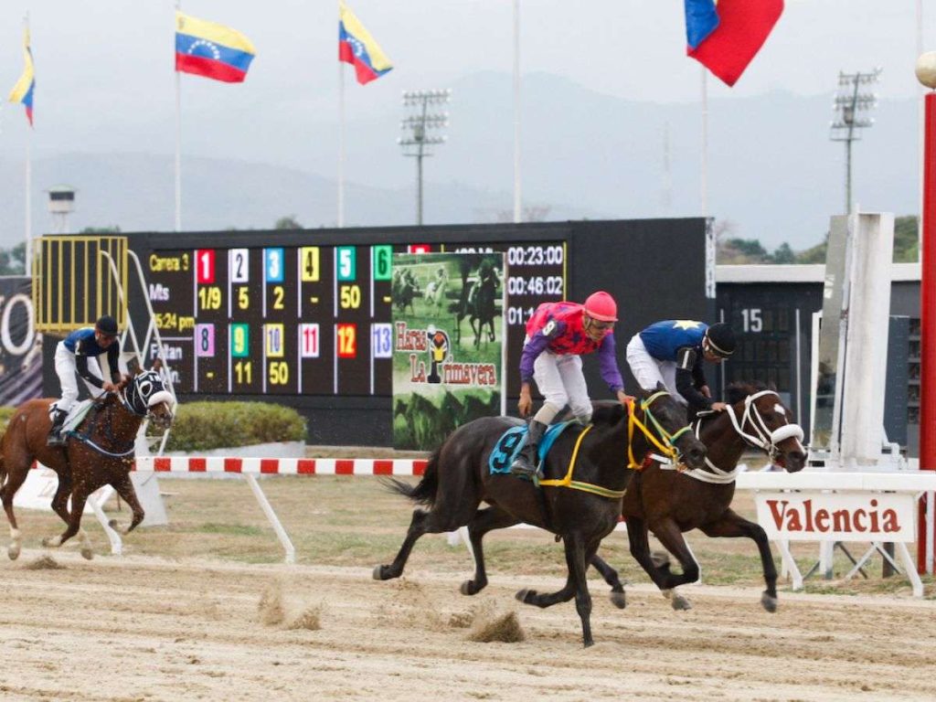 Nueve competencias se disputarán este sábado en Valencia