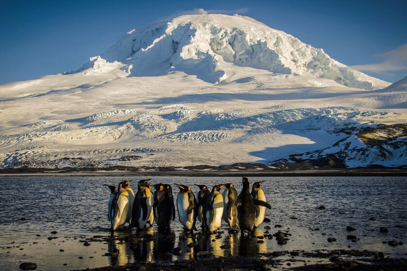 islas remotas, islotes solo habitados por pingüinos y una base secreta